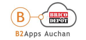 b2apps_brico-depot